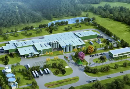 مشروع Timor Leste ، مصانع الجعة Heineken